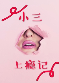 小三上瘾记_小说