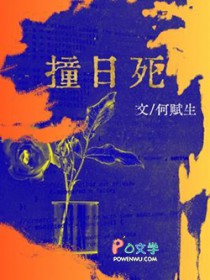 撞日死书评分享